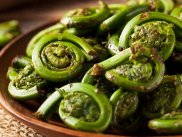 Loại cây người phụ nữ ăn khi rơi xuống vực 7 ngày không ngờ là rau trường thọ cực tốt