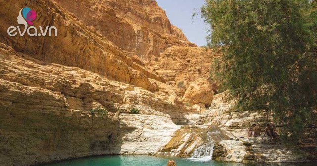 9 picturesque oases, located in the middle of the desert but still lush throughout 4 seasons
