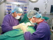 Sức khỏe - Nam sinh 16 tuổi phải cắt tinh hoàn vì chủ quan, bác sĩ chỉ dấu hiệu cần nhập viện ngay lập tức