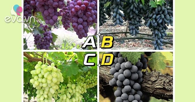 When thirsty, which bunch of grapes will you pick?