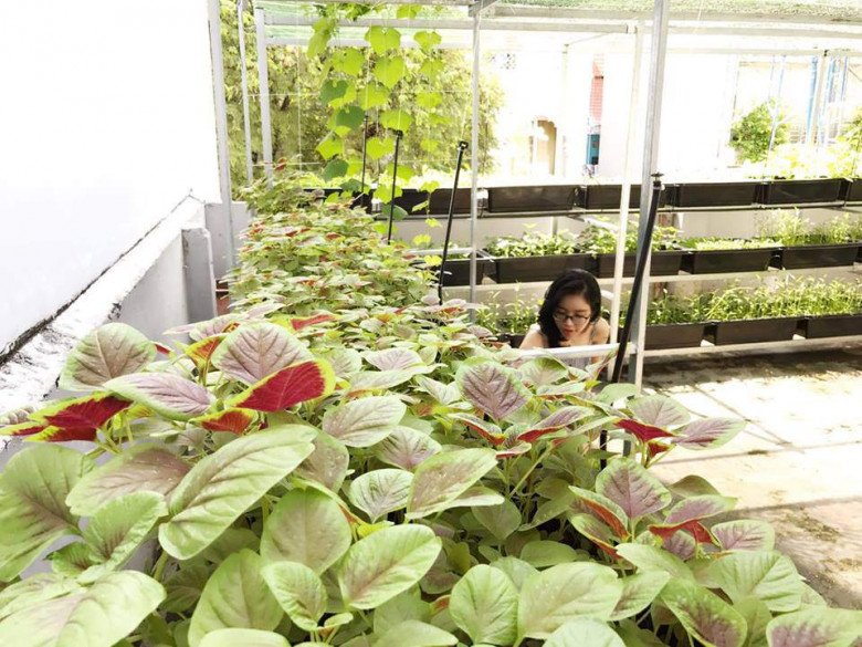 Không chỉ khiến người bán rau củ “hết cửa”, Elly Trần còn được fan tín nhiệm chăm hoa hồng - 13