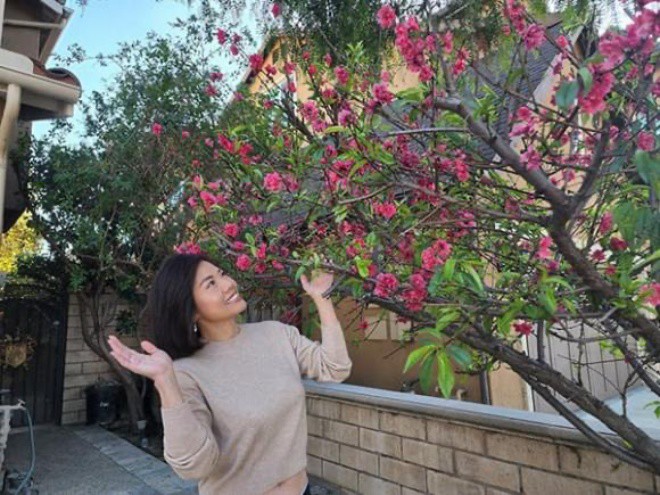 Ho Le Thu is a single mother in a house of 300m2 in the US, fruits and vegetables are laden with branches - 5