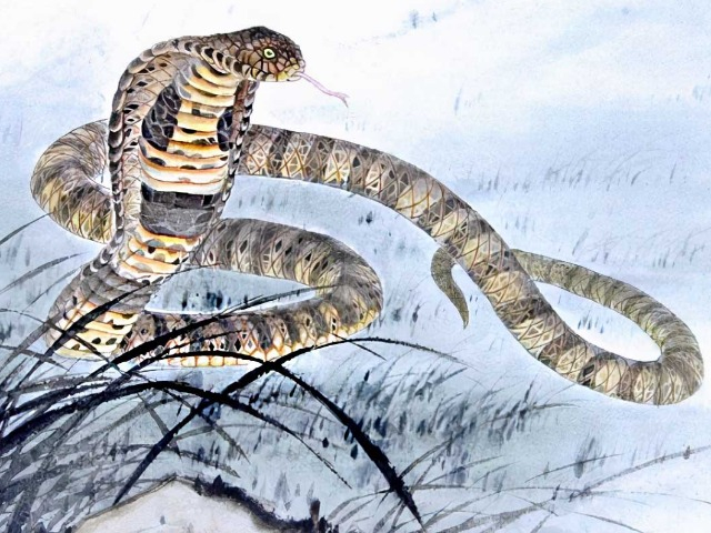 3 con giáp nữ trời sinh giàu sang phú quý, cả đời không thiếu tiền bạc