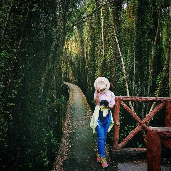 The 9 best things you can experience in the Mekong Delta - 6