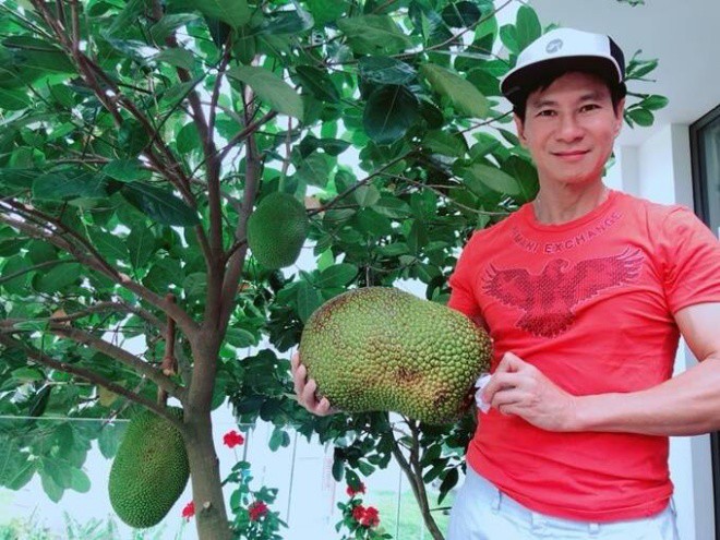 Vietnamese male stars turn the terrace into a vegetable garden, without spending money to buy - 4