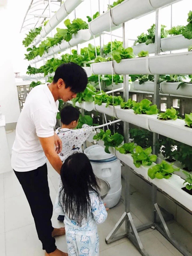 Vietnamese male stars turn the terrace into a vegetable garden without spending money to buy - 1