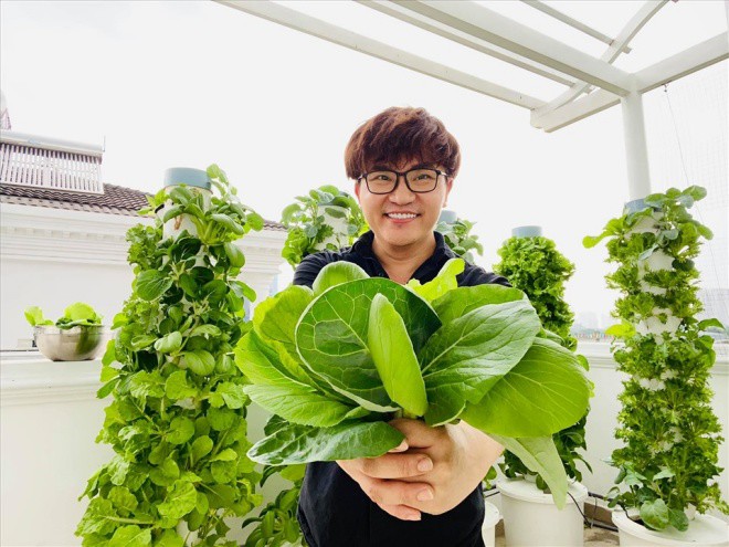 Sao nam Việt biến sân thượng thành vườn trồng rau xanh, không phải mất tiền đi mua - 6