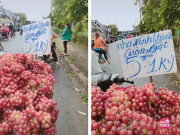 Tiêu dùng - Màn "gây lú" đỉnh cao của tiểu thương bán hoa quả vỉa hè, tưởng giá siêu rẻ nhưng lại gần mới ngã ngửa