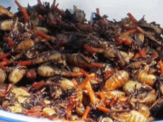 Clip Eva - Giật mình’ với 5 món ăn kỳ lạ nhất trên thế giới nhưng vẫn nhiều người mê