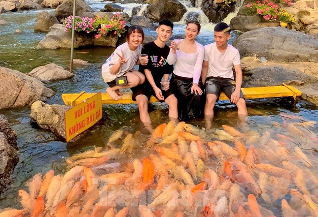 amp;#39;Drop shapeamp;#39;  by the stream tens of thousands of goldfish in Nghe An - 2