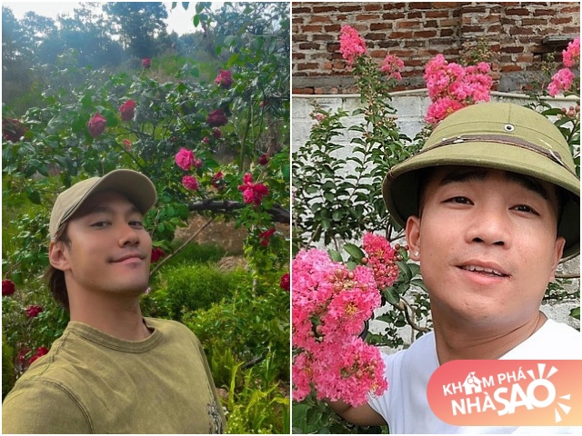 Sao Việt bỏ phố về vườn trồng hoa: Lý Quí Khánh đầu tư, Đỗ Duy Nam trồng đủ thứ