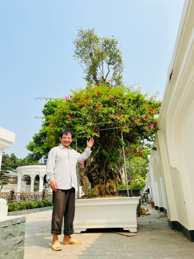 Artist Quang Teo shows off the flower garden in the new villa, full of trees as big as the giants' house - 1