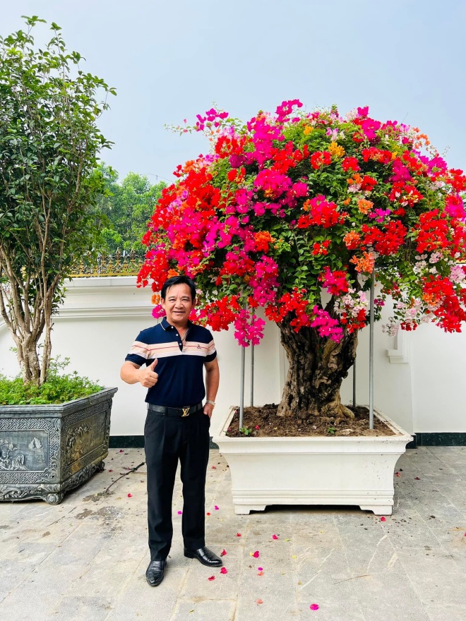 Artist Quang Teo shows off the flower garden in his new villa, full of trees as big as a giant's house - 5