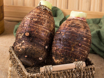 Người trồng bật mí 4 mẹo chọn khoai môn 