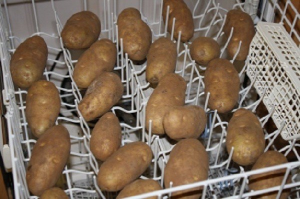 Put the potatoes in the dishwasher for a few minutes, she got a surprise ending - 1