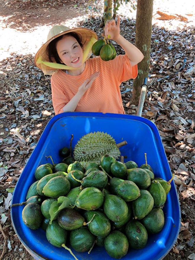 Minh Hằng, Ngọc Trinh, Lý Nhã Kỳ vừa xinh vừa giàu, sở hữu đất vườn trước khi lấy chồng - 8