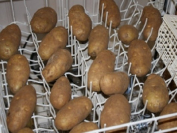 Kết quả bất ngờ khi cho khoai tây vào máy rửa bát vài phút