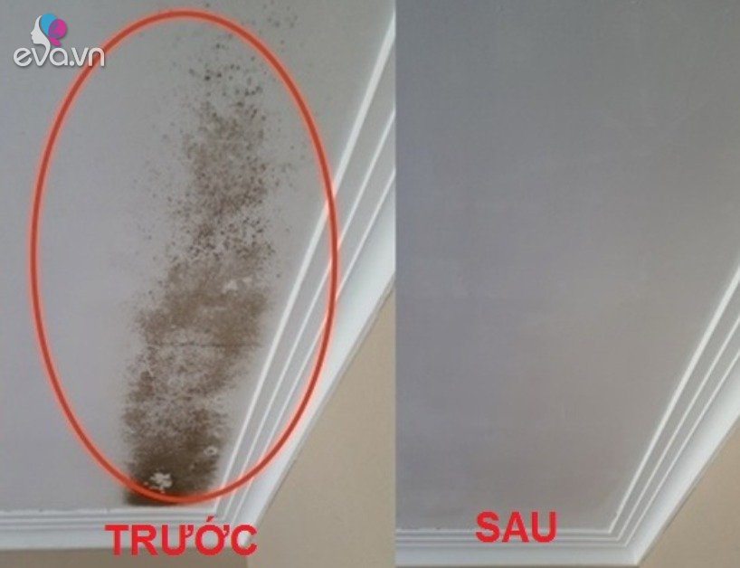 The ceiling has black mold, quickly solved in 5 minutes with ingredients available in the kitchen