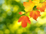 Eva tám - 8 điều giúp vượt qua bế tắc