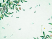 Eva tám - Muốn cuộc sống dễ dàng hơn, học cách bỏ đi 2 chữ này