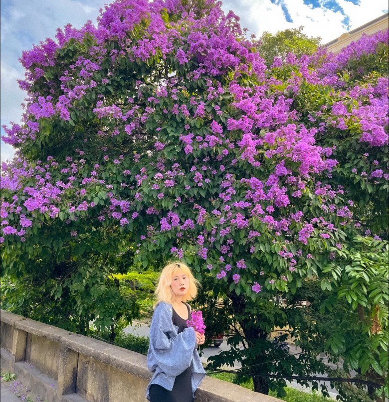 Discovering the most beautiful mausoleum tree in Hanoi, people rush to take pictures - 4