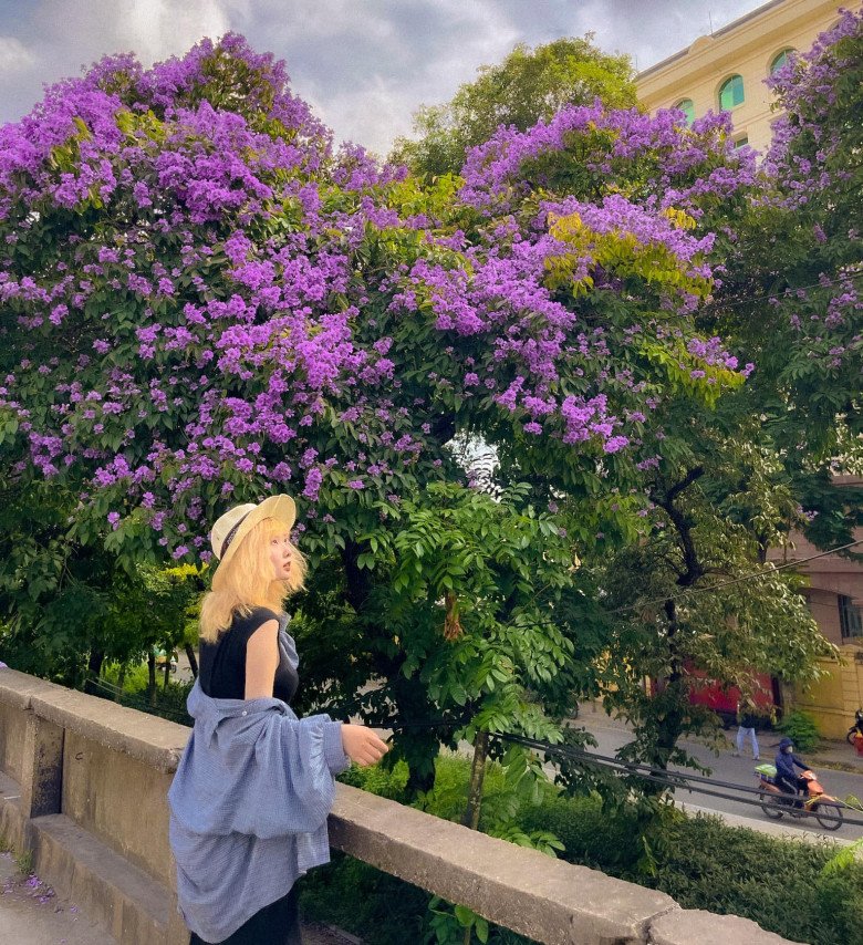 Discovering the most beautiful mausoleum tree in Hanoi, people rush to take pictures - 5