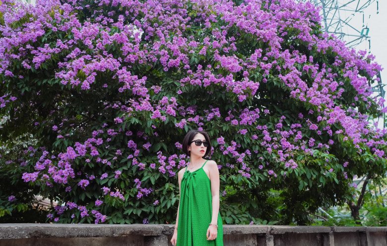 Discovering the most beautiful mausoleum tree in Hanoi, people rush to take pictures - 3
