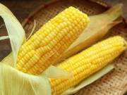 Sức khỏe - 4 loạt hạt ăn vào vừa tốt cho sức khỏe, lại đẹp dáng, mượt da