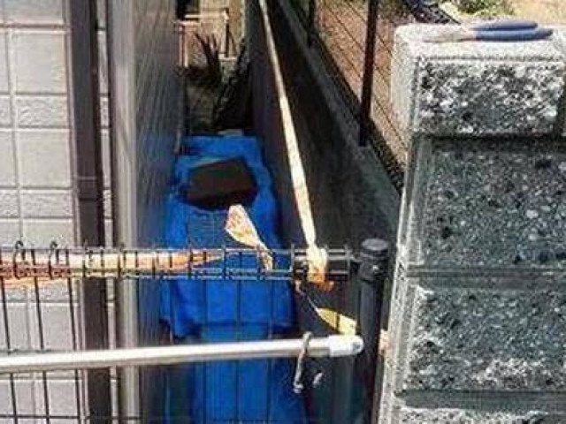 Xác của con dâu chôn sau nhà mẹ chồng tiết lộ sự thật động trời