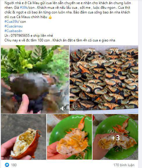 Real sea crabs are priced at amp;#34; as cheap as choamp;#34;, only 39,000 VND/head - 3