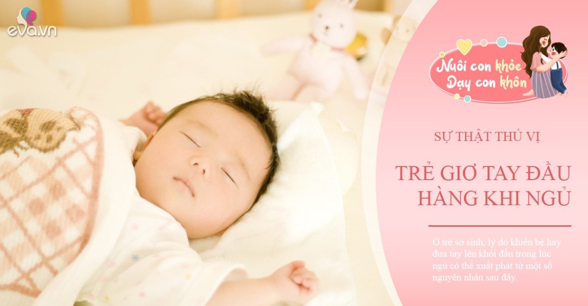 Interesting facts newborn babies sleep in the position of “raising their hands in surrender, not everyone knows”