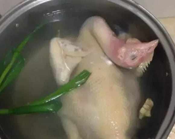 Boil chicken and duck with the belly facing up or down to make the skin golden and delicious like a restaurant?  - first