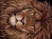 Eva tám - Trắc nghiệm tâm lý: Bạn nhìn thấy sư tử hay chuột trong bức tranh này?