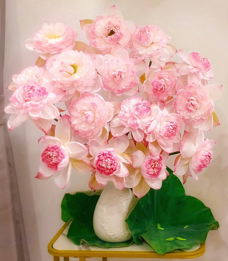 9X Hà Nội chưng hoa sen ngập nhà, từ 60.000 đồng là có bình hoa đẹp nức nở - 10