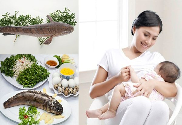 What fish can a mother eat to be healthy after giving birth?  - twelfth