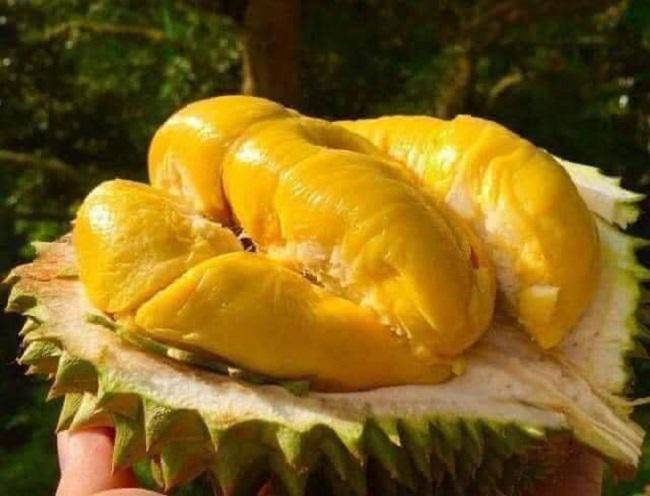 The world's best durian landed in Vietnamese market, amp;#34;rich peopleamp;#34;  spend money on food - 5