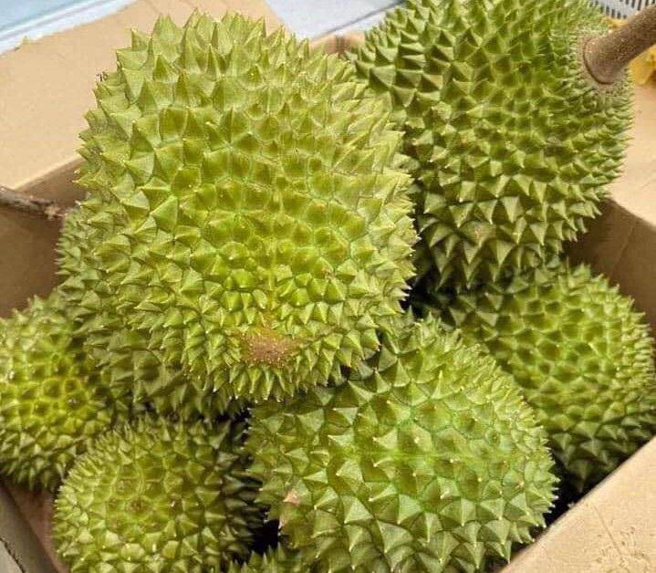 The world's best durian landed in Vietnamese market, amp;#34;rich peopleamp;#34;  spending money on food - 4