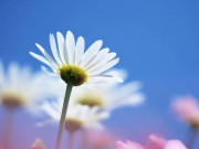 Eva tám - 3 dấu hiệu cho thấy một người ngày càng nghèo đi