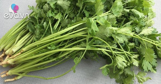 Buy coriander very quickly, do these 3 ways to still be delicious for up to 3 months
