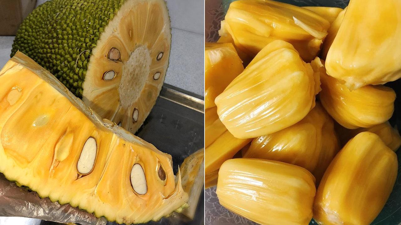 How to make jackfruit ice cream at home, delicious and cool, everyone will love it - 1