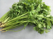 Bếp Eva - Rau mùi mua về cực nhanh héo, làm 3 cách này để đến 3 tháng vẫn thơm ngon