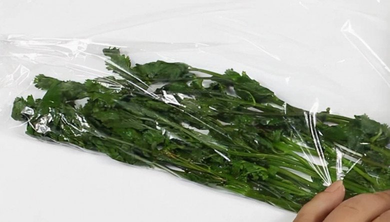 Buy coriander very quickly wither, do these 3 ways to stay delicious for up to 3 months - 4
