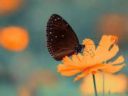 Eva tám - Từ bỏ 10 lối suy nghĩ này để cuộc sống tốt hơn mỗi ngày