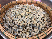 Sức khỏe - Ăn hến có tác dụng gì? Những tác hại ít biết của hến
