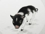 Eva tám - 3 con giáp này giàu phúc khí và may mắn nhất