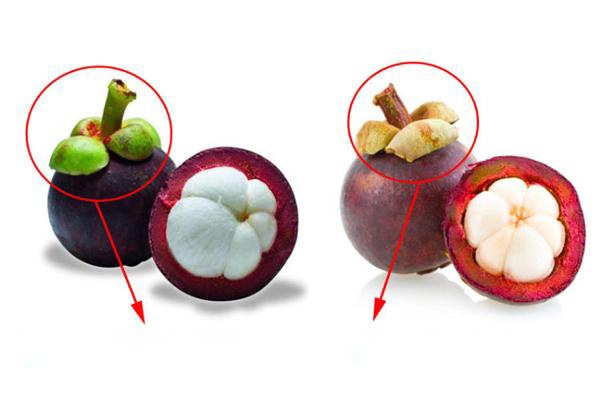 Buy damaged mangosteen, growers look at one spot on the peel to make sure that any fruit is delicious - 4