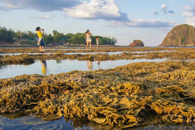 Admire the beautiful open-air coral garden in Phu Yen - 7