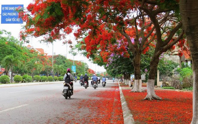 Check-in irresistible places to eat and play in Hai Phong - 23