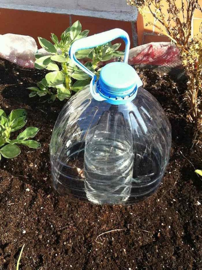 Watering this kind of water for flowers is like killing them, watering in the morning and evening the plants wilt - 1