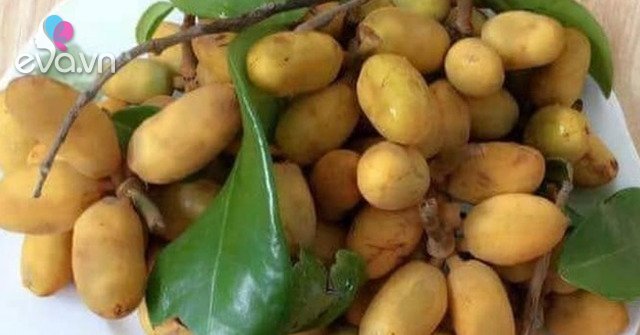 The old ripe fruit that no one picked is now popular, a specialty of the city’s sisters looking to buy, 40,000 VND/kg